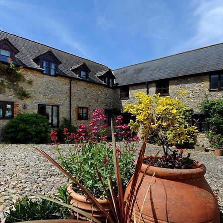 Rose Cottage Musbury Exterior photo